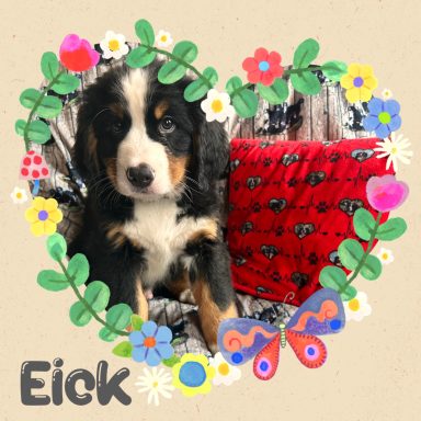Eick