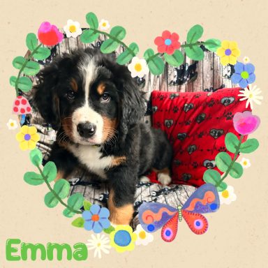 Emma