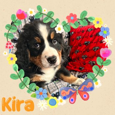 Eve (Kira)